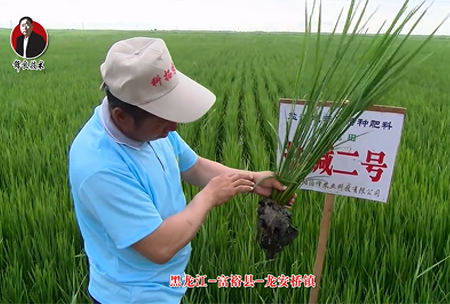 富?？h-龍安橋鎮